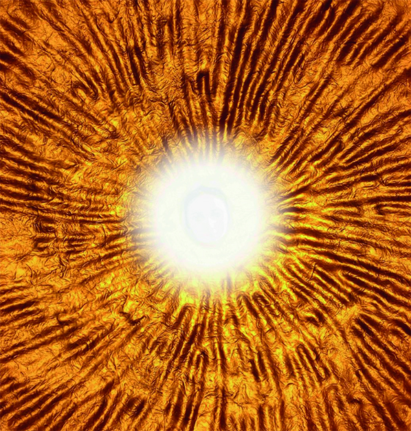 A round light source in the center of the picture surrounded by golden rays