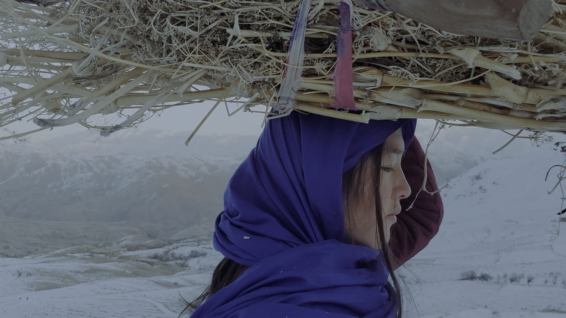 Eine Frau in einem blauen Gewand geht mit einem Bündel Reisig durch eine verschneite Landschaft.