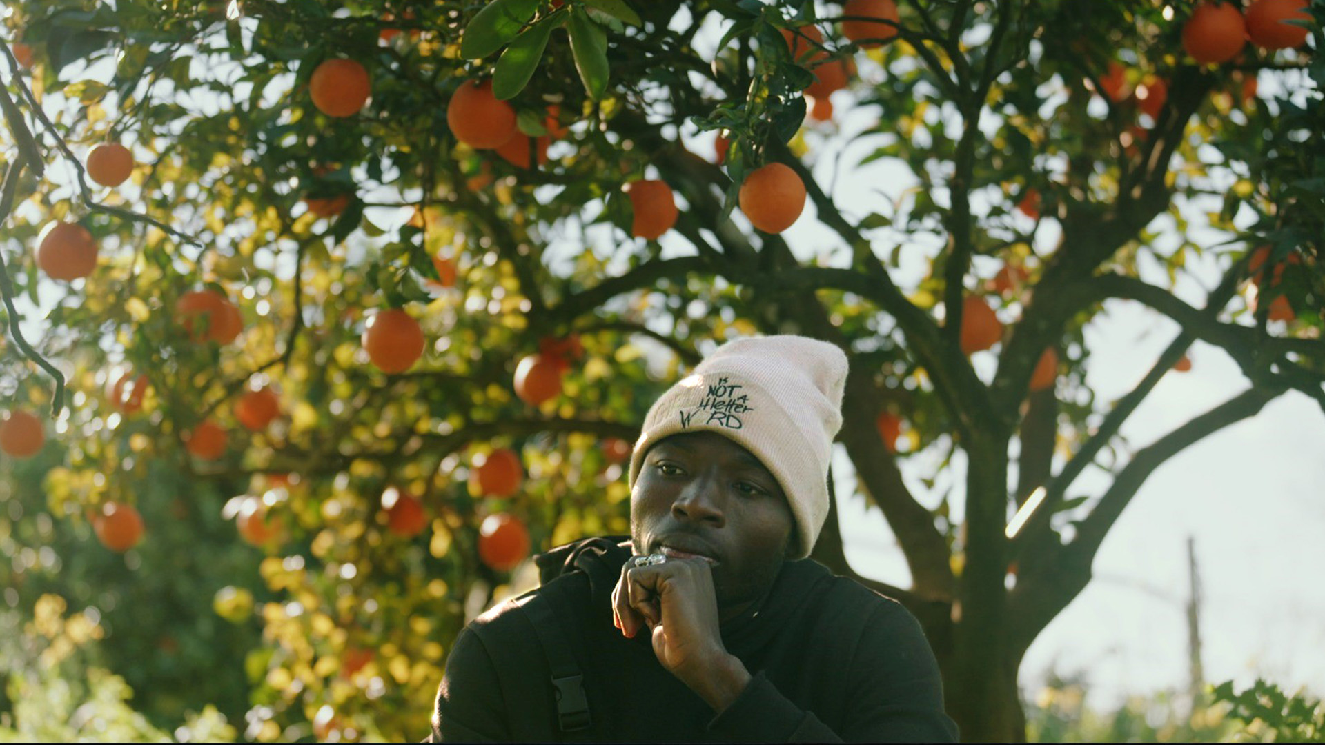 A man sits in front of an orange tree and looks thoughtfully into the distance.
