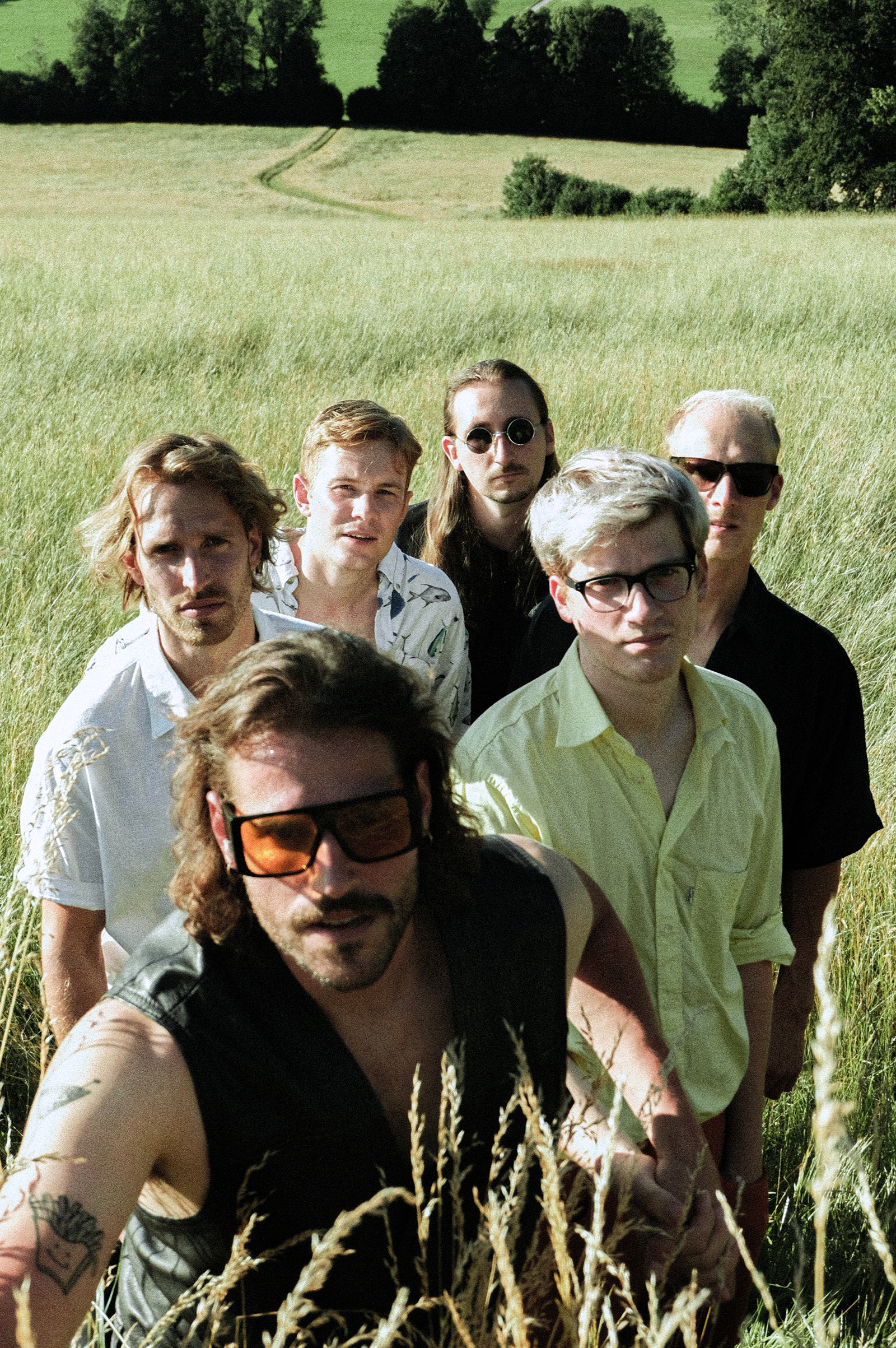 Six men in a cornfield