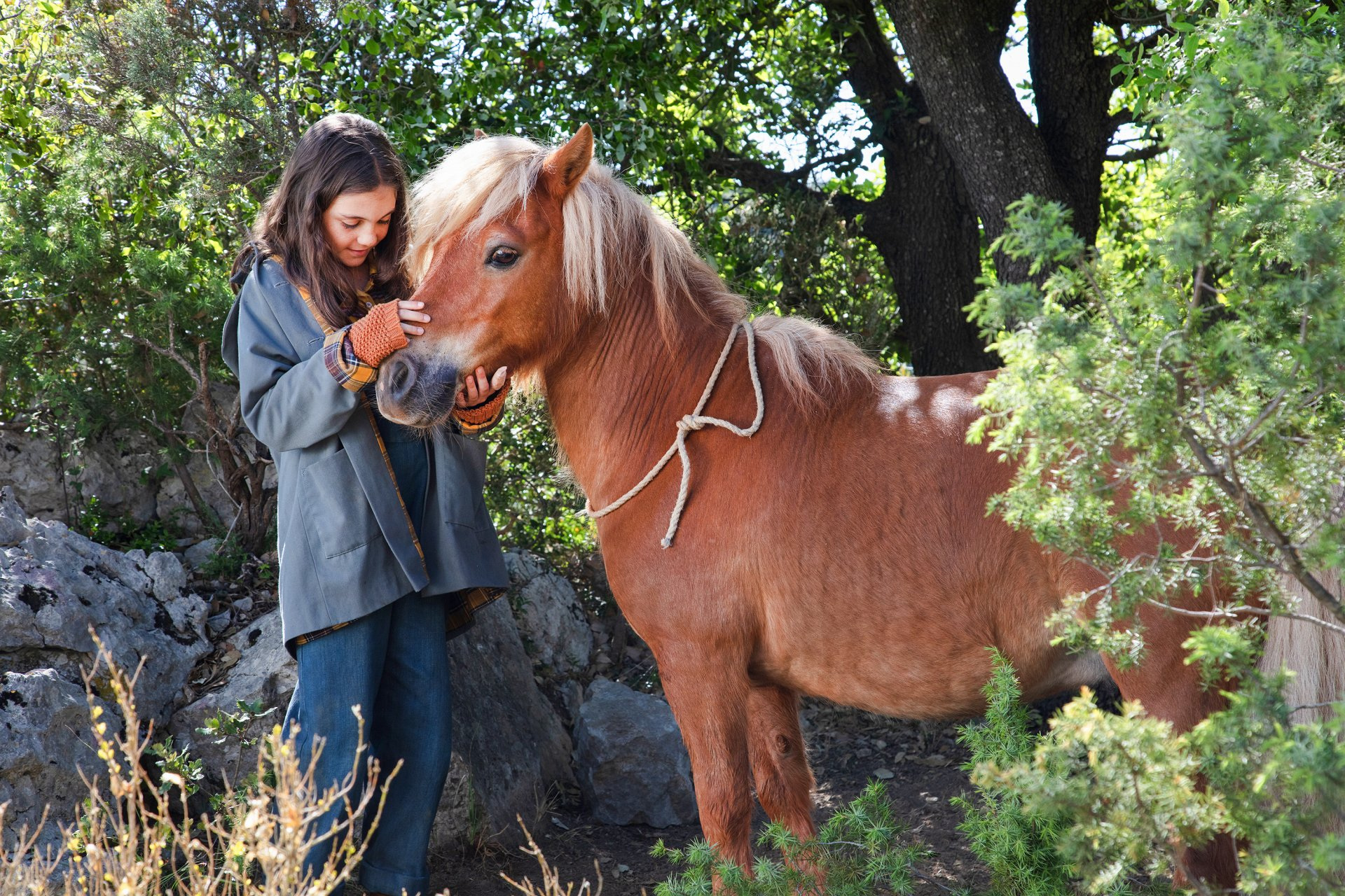 Ein Mädchen streichelt einem Pony über die Nüstern
