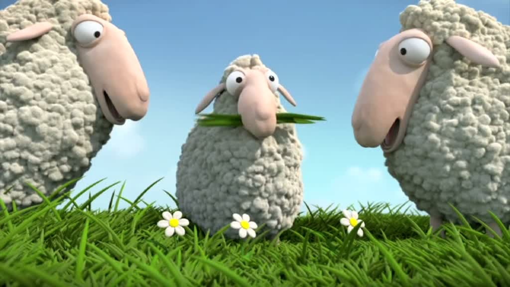 Drei Schafe sitzen auf einer grünen Wiese. Das kleinste Schaf hat mehrer Grashalme im Mund.