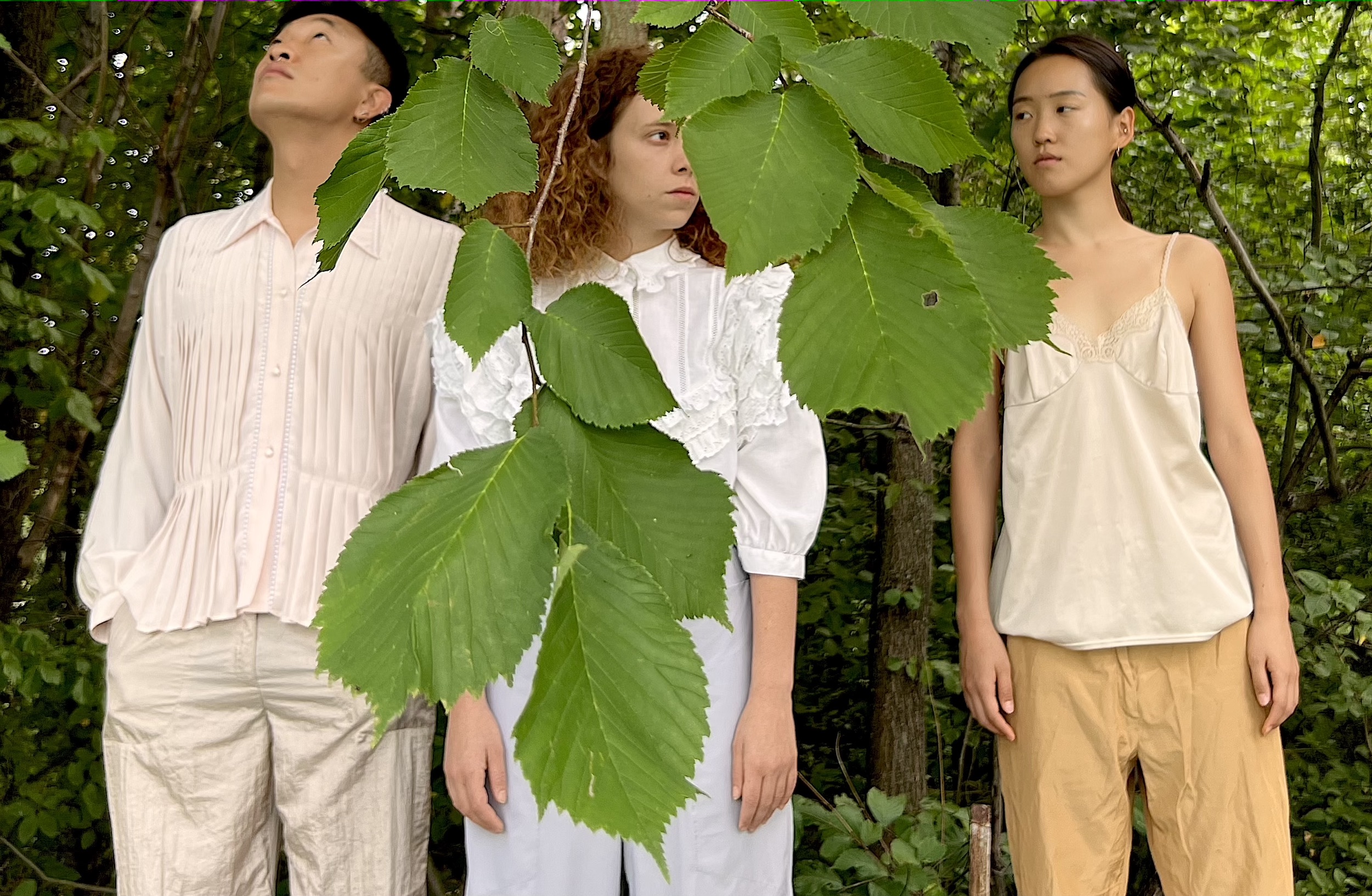Three people stand in a green thicket, the leaves of a tree form the foreground.