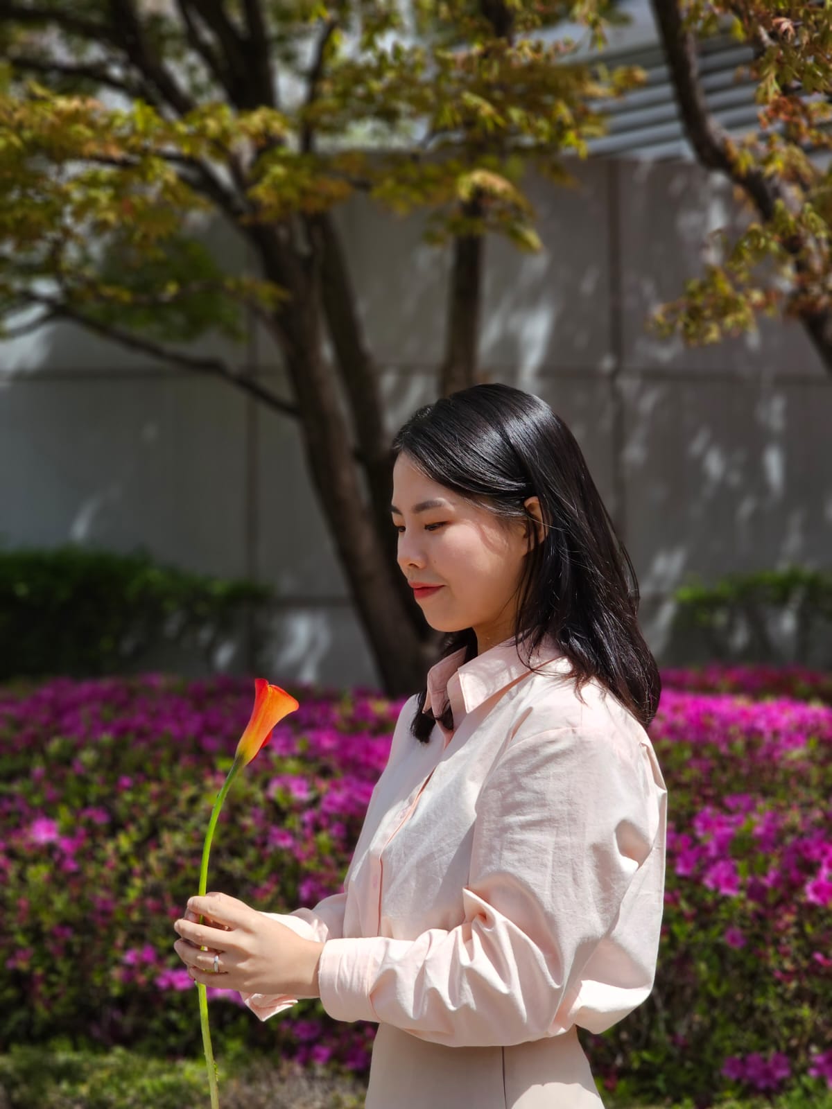 A Korean florist holds a red flower in her hand and looks at it.