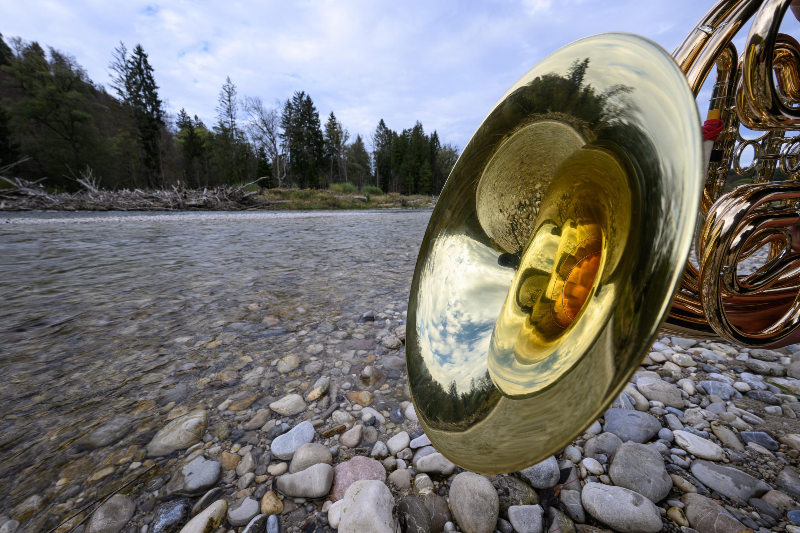 A river bank with pebbles, trees in the background. You can see a brass instrument in the foreground